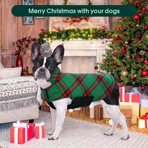 Waterproof Dog Coat (Christmas Green / Small (Pack of 1))