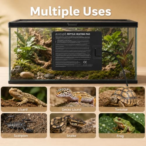 Reptile Heating Pad (6" X 8"(8W))