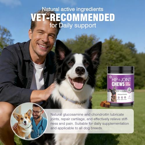 Joint Supplement for Dogs 200 ct (2 g/capsule 200pcs)