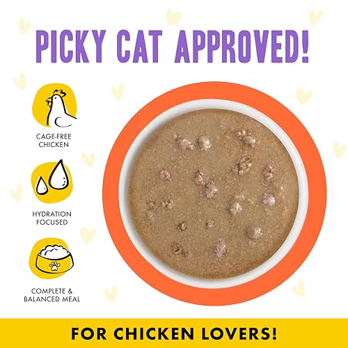 B.F.F. OMG Best Feline Friend Oh My Gravy! (2.8 Ounce (Pack of 12))