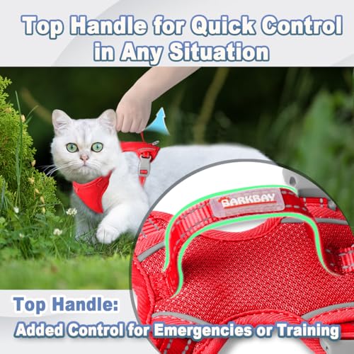 Cat Harness and Leash Set Escape Proof for Kitten Walking (Small / Red)