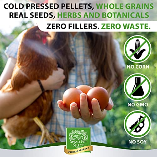 Chicken Layer Feed Pellets (40 Pound (Pack of 1))
