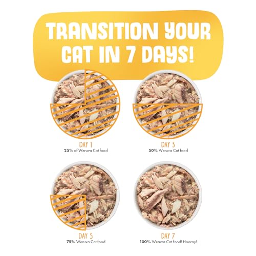 Classic Cat Food (3 Ounce (Pack of 24))