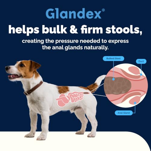 Glandex for Dogs Anal Gland Chews 30ct (30ct)