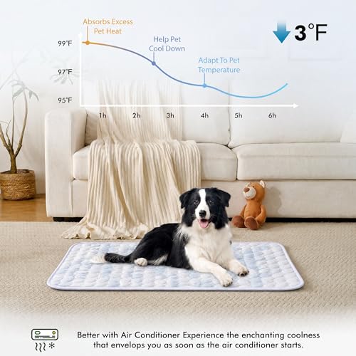 Summer Cooling Mat & Sleeping Pad (40" x 28" / Blue White)
