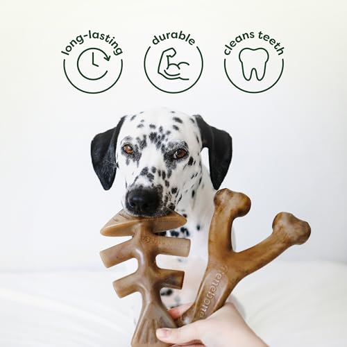 4-Pack Ball/Bone/Bacon Wishbone/Fishbone Medium (4 Pack)