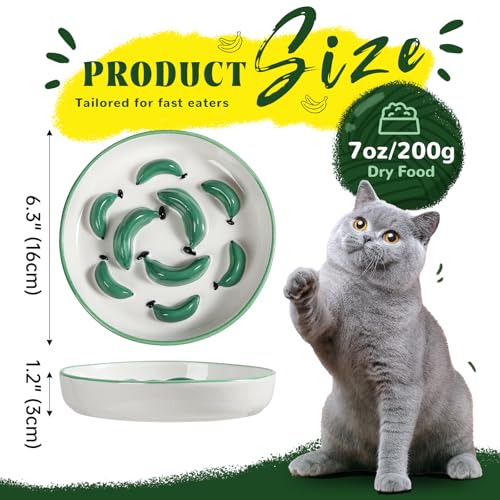 Ceramic Slow Feeder Cat Bowl (Bright Red / 1.2"H Standard)