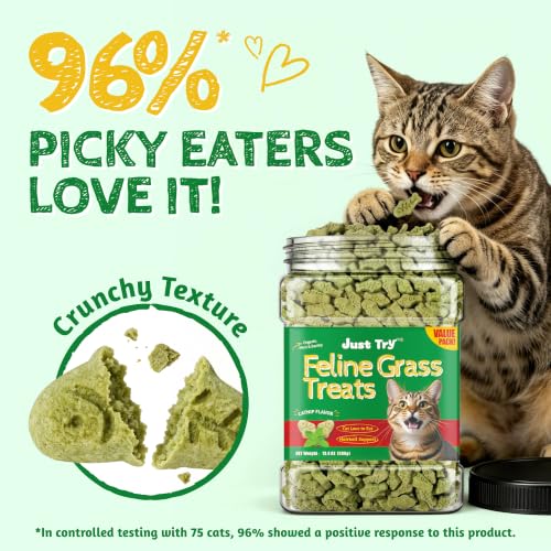 Cat Grass Treats for Indoor Cats Hairball Control 13.4 OZ (13.4 Ounce (Pack of 1))