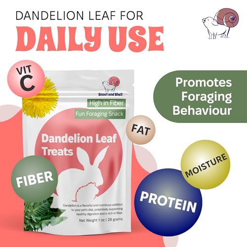 Dandelion Leaf Treat for Small Pets