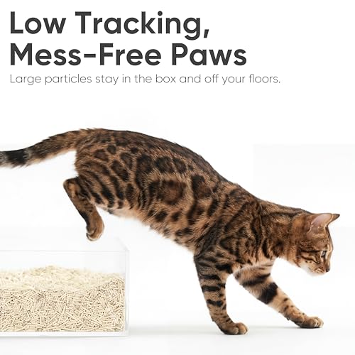 Tofu Cat Litter (Corn Blend - 18lbs - 6lb x 3 Bags)