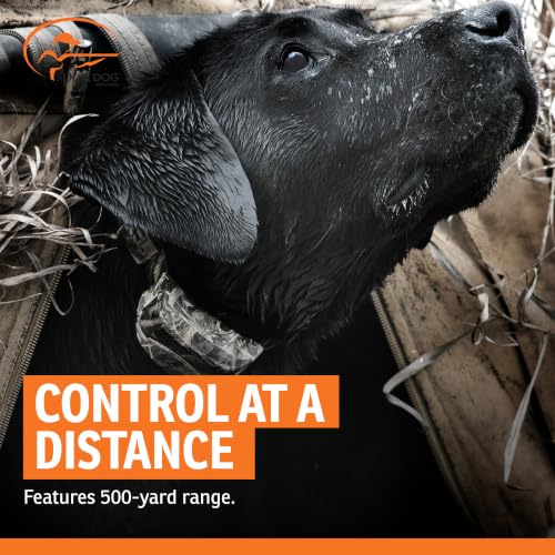 WetlandHunter 425X Remote Trainer (Camoflauge / 1-Dog)