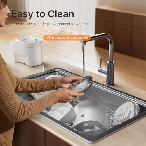 Automatic Cat Feeder and Water