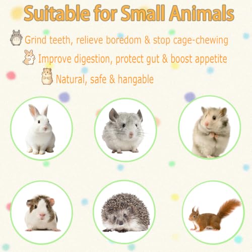 Natural Bunny Toys for Rabbits (【Style D】)