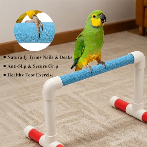 Small Bird Parrot Stand Perch Table Top Stand Playground Grind Perch Swing Training Playstand Exercise Chew Toys for Budgies Parakeet Cockatiel Conure Finch (L)