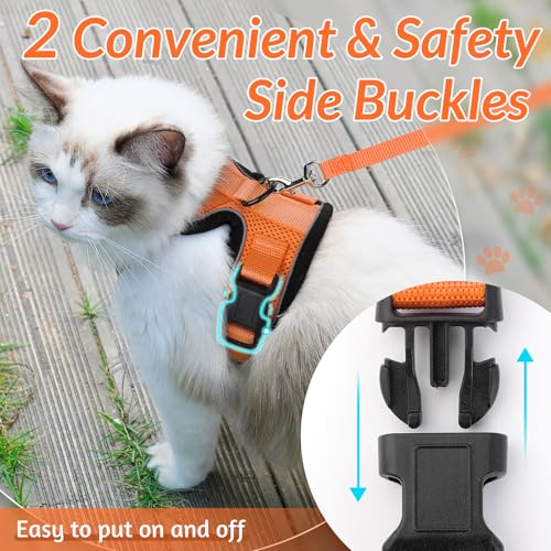 Cat Harness and Leash Set (Xs / Orange)