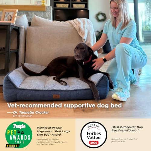 SupportMax® Extra Thick Orthopedic XL Dog Bed for Extra Large Dogs (Dark Green / 48"l X 35"w X 10"th)