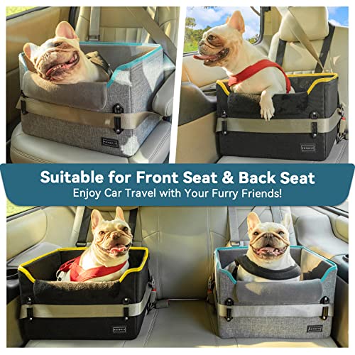 Small Dog Car Seat