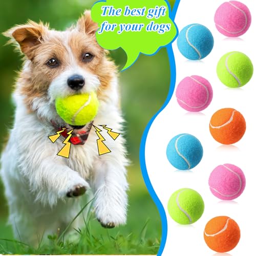 100 Pcs 2.5 Inch Squeaky Tennis Balls Bulk for Dogs Bouncy Floatable Tennis Balls Dog Playing Supplies Training Interactive Fetch Toys Indoor and Outdoor for Small Medium Puppy (Multicolor)