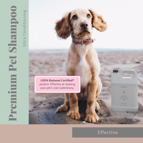 Begley’s No Rinse Waterless Pet Shampoo (64 Fl Oz (Pack of 1) / Citrus)