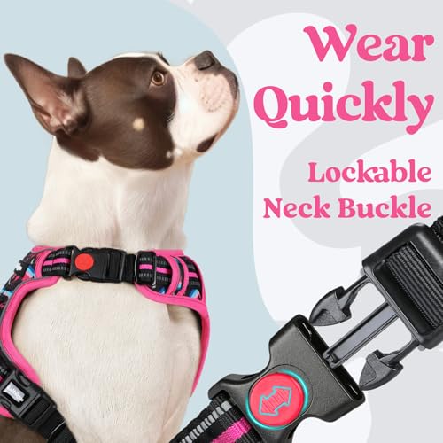 Dog Harness for Large (Mountain Rose / X-large)