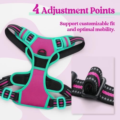 Dog Harness No Pull for Large Dogs with 2 Leash Clips (X-Large / Hot Pink & Turquoise)