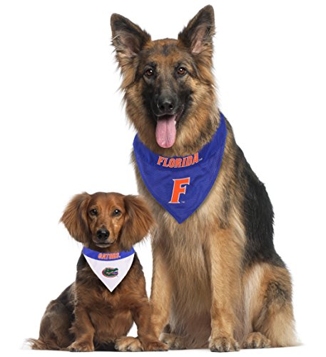 Collegiate Pet Accessories (Small/Medium / Florida Gators)
