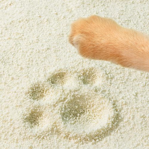Tofu Cat Litter Natural Clumping Tofu Cat Litter 5.5lb (2 Pack / Watermelon + Wonder Litter)