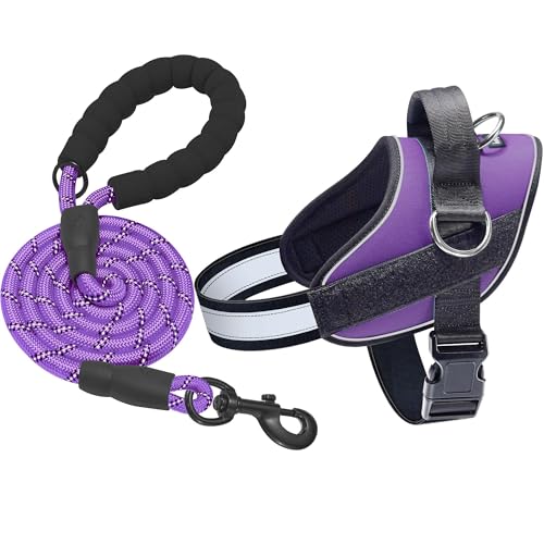 Essential Dog Harness (S / Purple)
