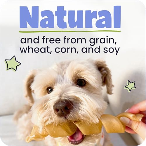12 Inch Beef Collagen Sticks Chews for Medium & Large Dogs 5 Pack (2.5 Ounce (Pack of 5))