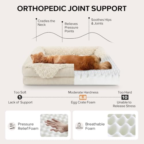 Orthopedic Dog Bed for Large Sized Dog (Cream / 42"L x 30"W x 7"T)