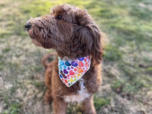 Valentine's Dog Bandana (Love / Large (Pack of 1))