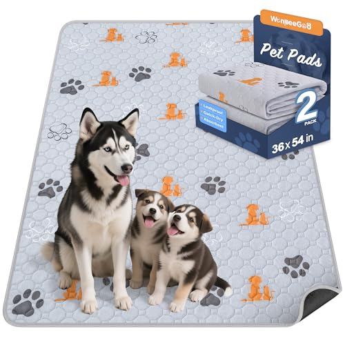 Washable Pee Pads for Dogs (Orange / 36"x54" (Pack of 2))