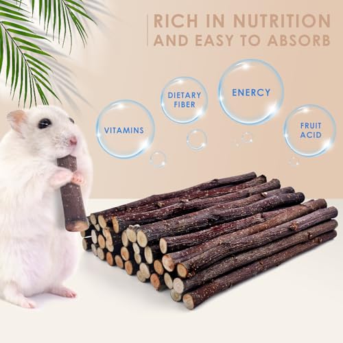 Apple Sticks for Rabbits (8.1 Ounce (Pack of 1))