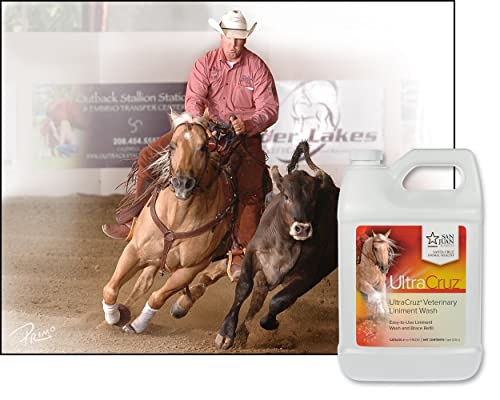 Veterinary Liniment Wash for Horses