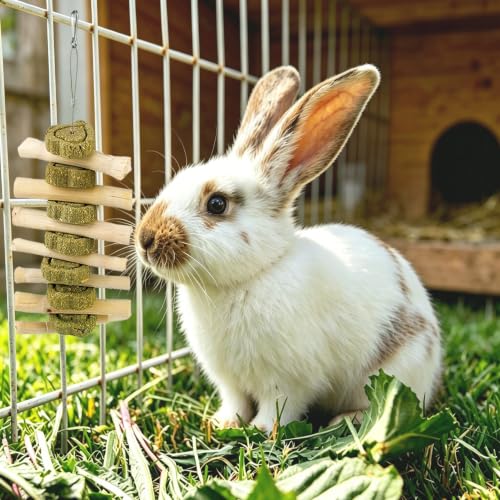 Natural Bunny Toys for Rabbits (【Style D】)