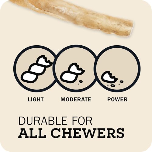 Redbarn Small Collagen Sticks 100% Natural Beef Dog Chew (Small / 1 Count (Pack of 5))