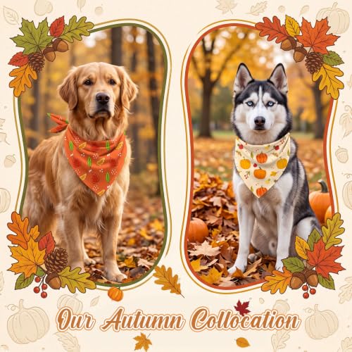 100 Pcs Fall Dog Bandanas Bulk Autumn Pumpkin Maple Leaves Pattern (31.5 x 21.7 x 21.7 Inch / Fall)