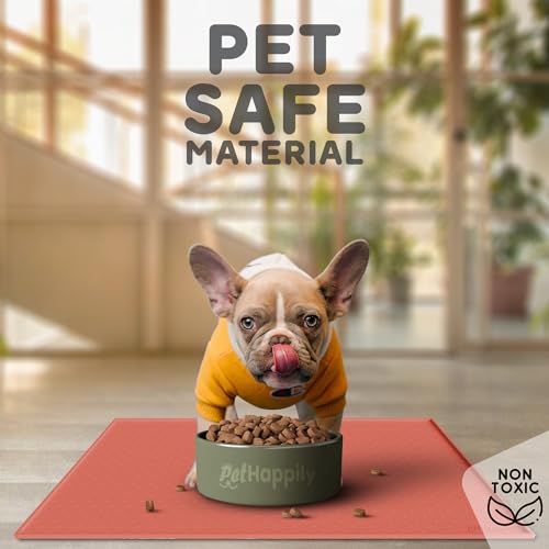 Dog Food Mat Raised Edges Dogs Mat for Food and Water Prevent Spill (18.5" x 11.5" / Burnt Coral)