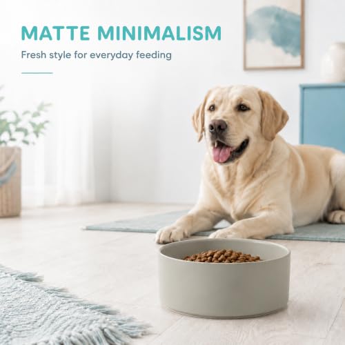 Ceramic Dog Bowls (Matte Gray)