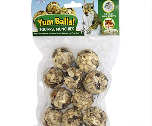 Yum Balls! Squirrel Munchies (10 Count (Pack of 1))
