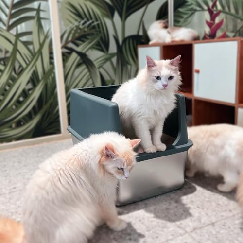 Stainless Steel Litter Box with Lid (16"H - Grey)