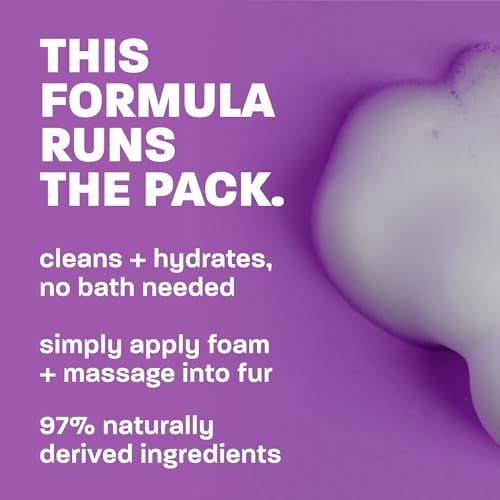 No Rinse Waterless Cat Shampoo