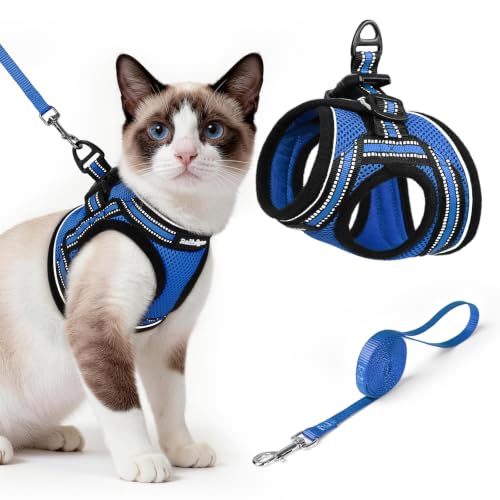 Cat Harness and Leash Set (L / Blue)