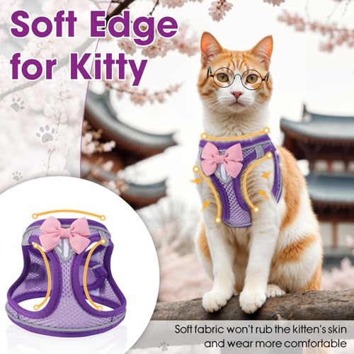 Cat Vest Harness and Leash Set (Purple / M)
