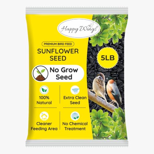 5 LB Black Oil Sunflower Seeds Bird Food (5 Pound (Pack of 1))