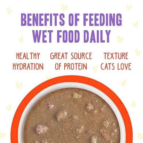 B.F.F. OMG Best Feline Friend Oh My Gravy! (2.8 Ounce (Pack of 12))
