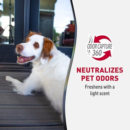 Advanced Pet Stain & Odor Eliminating Wipes (Wipe / 30 Count (Pack of 1))