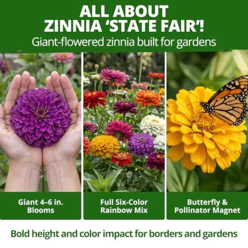 State Fair Zinnia Seeds
