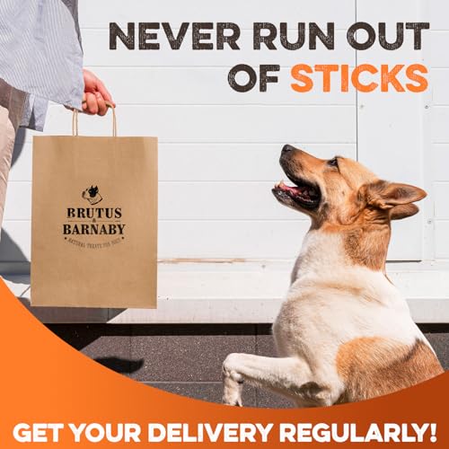 Beef Collagen Chew Sticks for Dogs