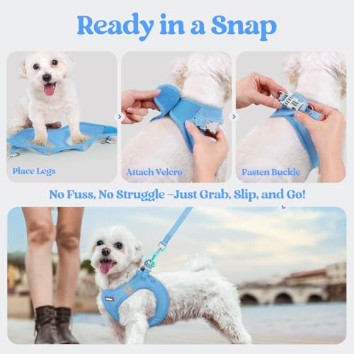 Dog Harness Medium Sized and Leash Set (Blue / Xl (chest: 20 - 21.8"))
